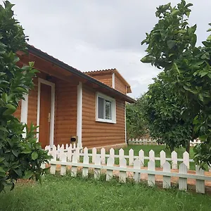  Casa vacanze The Mussel House Albania
